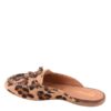 SABOT IN CAVALLINO CON LACCIO